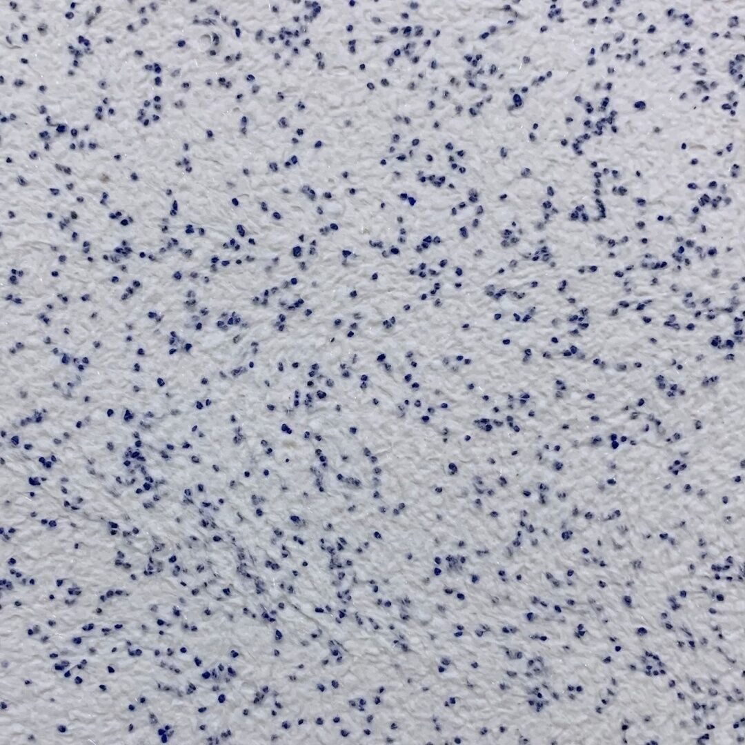 Quartz Decor 4