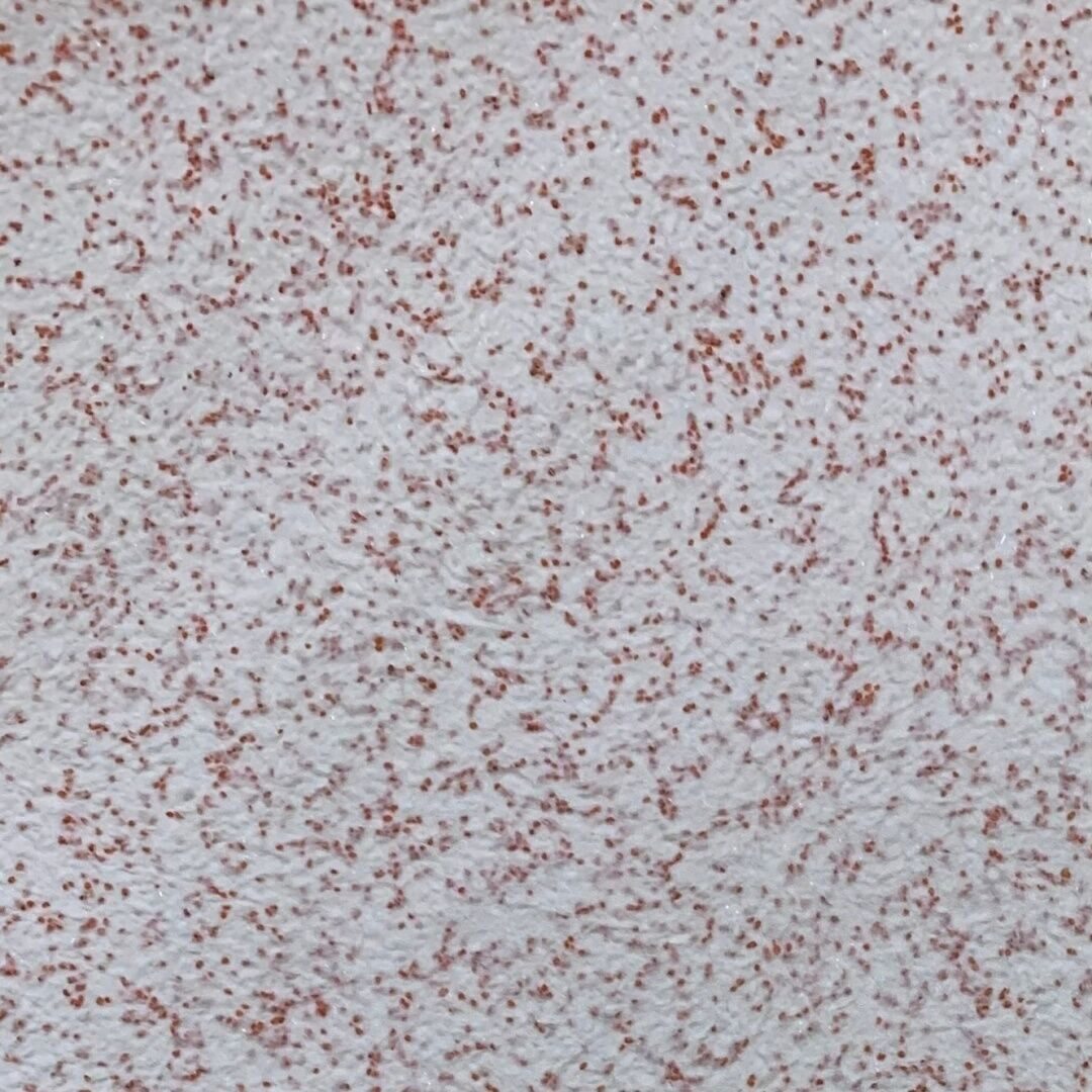 Quartz Decor 15
